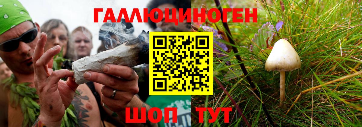 Можга  Псилоцибиновые грибы GOLDEN TEACHER  Вход с VPN  Галлюциногенные грибы Psilocybe 
